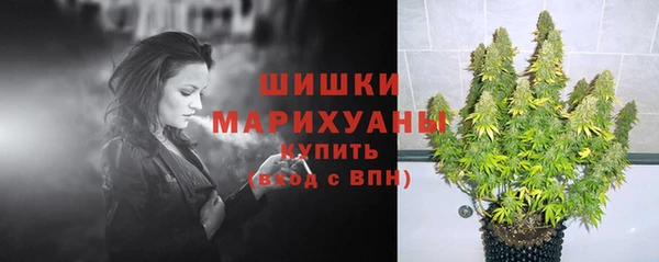 a pvp Аркадак