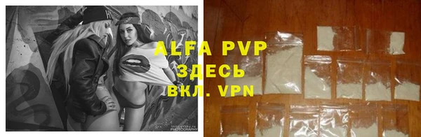 стаф Арсеньев