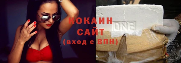 стаф Арсеньев