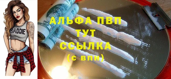 индика Армянск