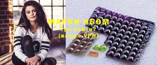 индика Армянск
