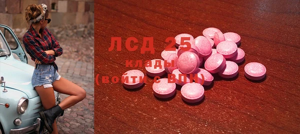 индика Армянск