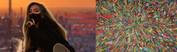 стаф Арсеньев